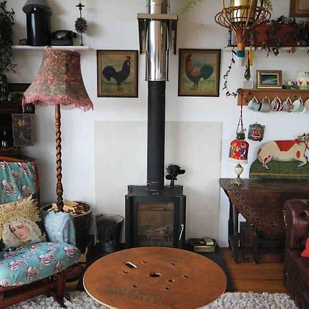Spacious Cabin On Isolated Farm With Sea View 뷰드 외부 사진