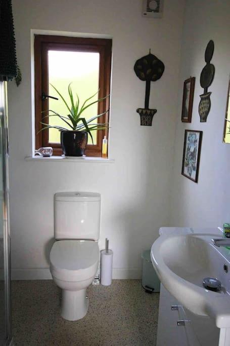 Spacious Cabin On Isolated Farm With Sea View 뷰드 외부 사진